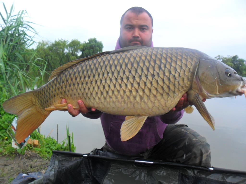 My Passion - sam0914.JPG